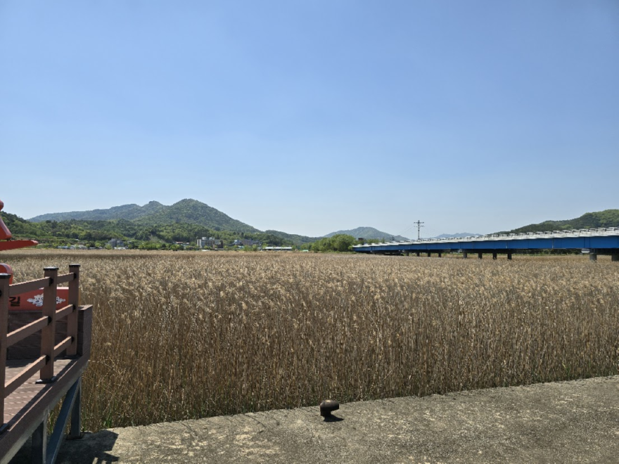 KakaoTalk_20251009_211806604.png