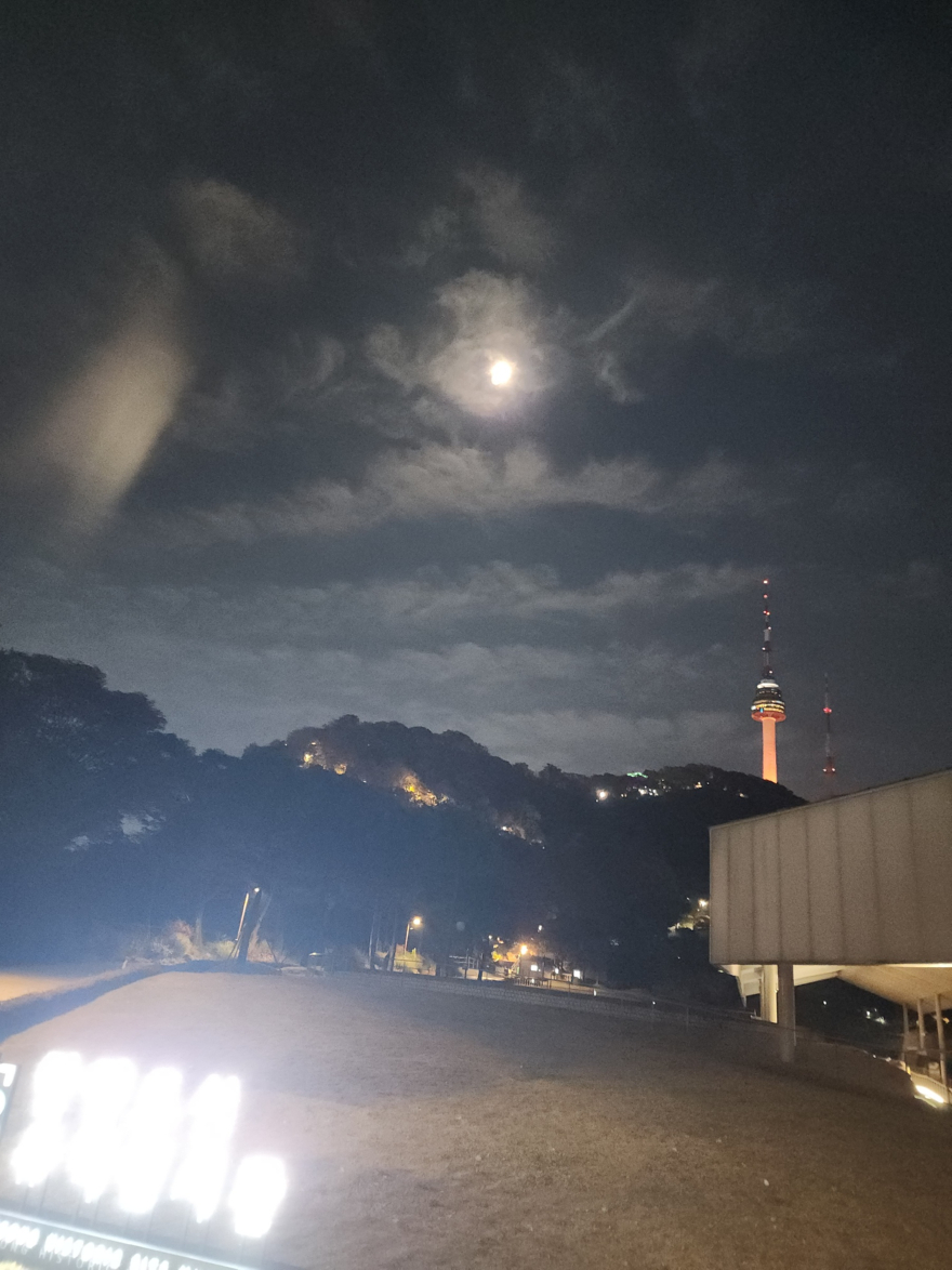 남산1.jpg