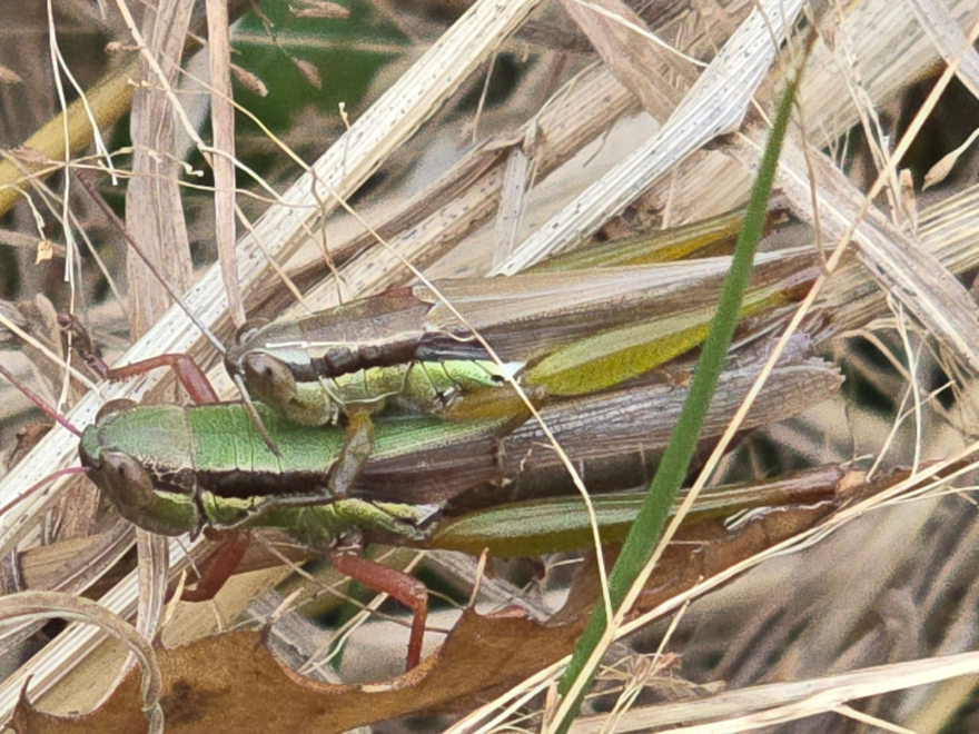 KakaoTalk_20251213_201436814.jpg