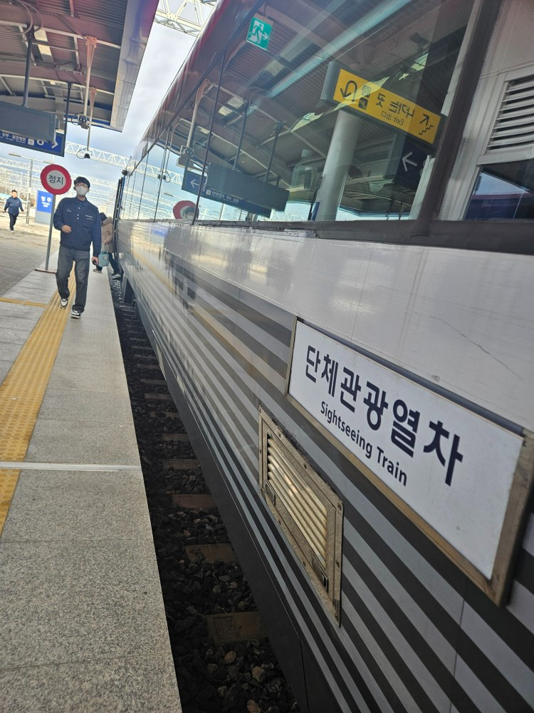 report0_1766454024.jpg