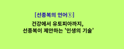 선종복의언어1.png