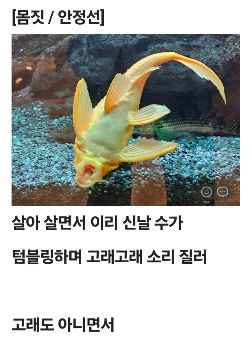 KakaoTalk_20260221_103306271.jpg