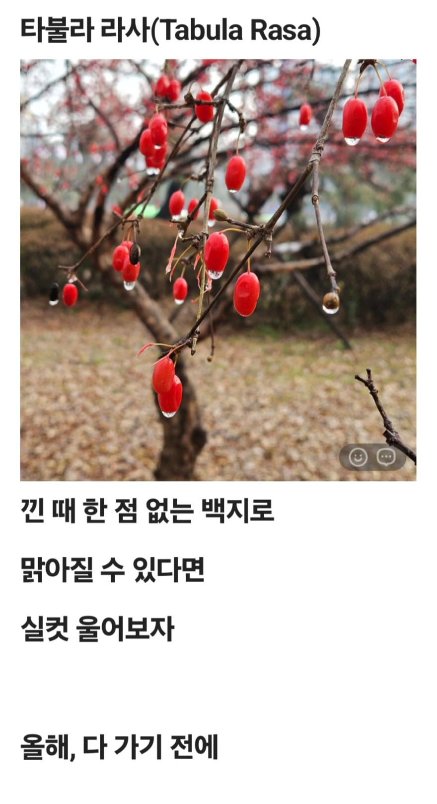 타블라라사.jpg