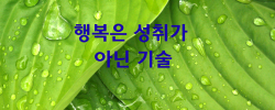 행복은 성취가 아닌 기술.png