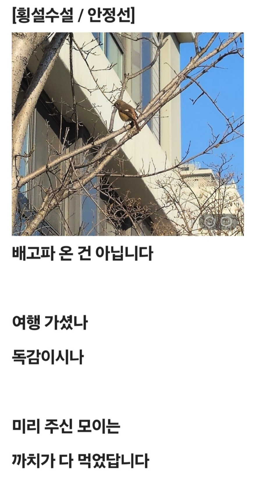 횡설수설.jpg