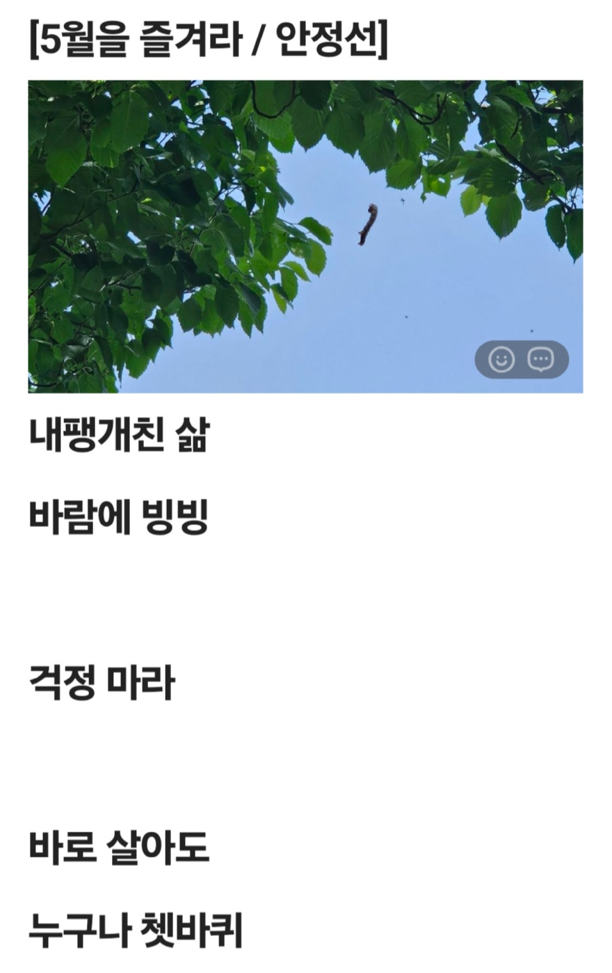 5월을 즐겨라.jpg