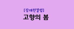 고향의봄.png
