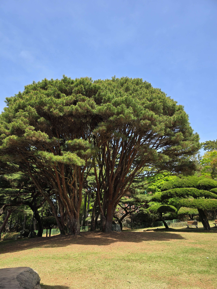 조경.jpg