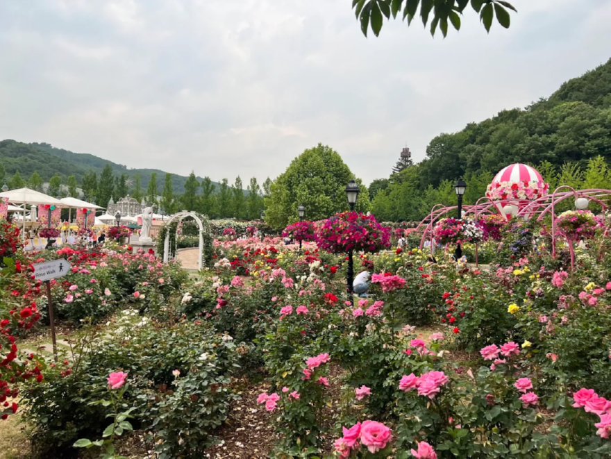 용인1.png