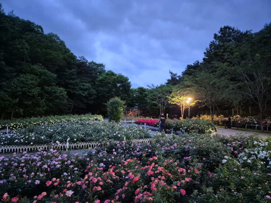 울산1.png