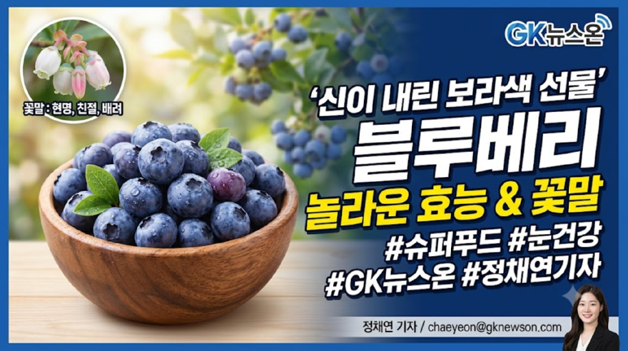 블루베리.png