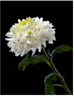 KakaoTalk_20260721_090511316.png
