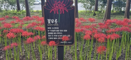 시민이 만드는 글로벌관광도시 서울