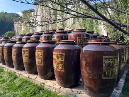 寻根之旅：宣氏宗亲到访宣酒集团，宣氏家族创立的自主品牌