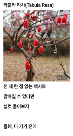 타불라 라사