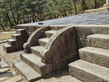 세 가닥 유감