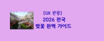 2026 전국 벚꽃 완벽 가이드