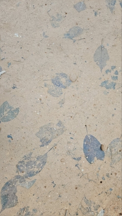 화석