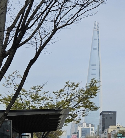 나누미