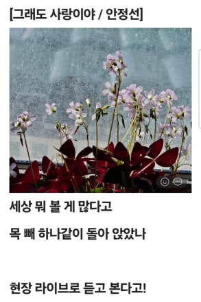 그래도 사랑이야