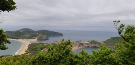 서해의 보물, 바람과 파도가 빚은 기적 ‘굴업도’
