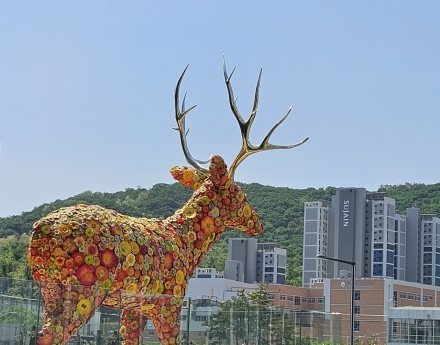 제자에게