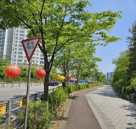 양보