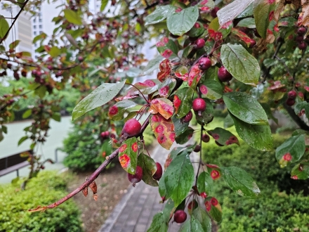 보호본능