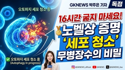 "16시간 무리한 단식 대신 이렇게"… 노벨상이 밝혀낸 '회춘·무병장수' 비밀