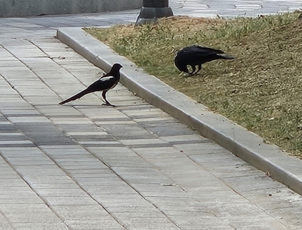 넋 놓은