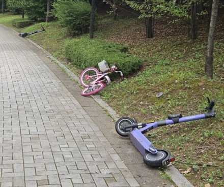 물망초